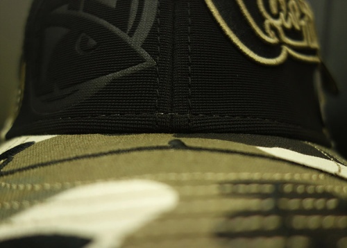 Бейсболка Catfish